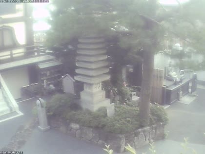 2025-07-08
