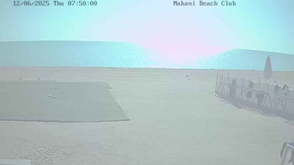 2025-06-12