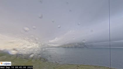 2025-09-10