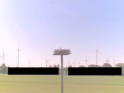 2025-05-17