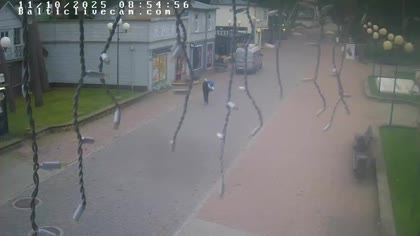 2025-10-11