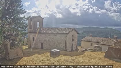 2025-07-08