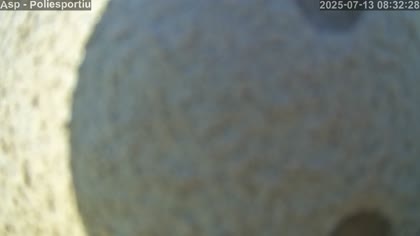 2025-07-13