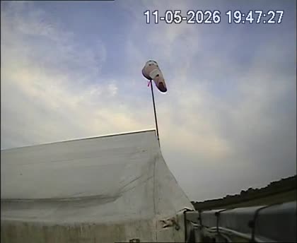 2026-05-11