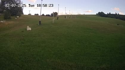2025-07-22