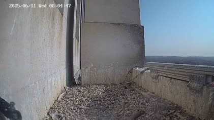 2025-06-11