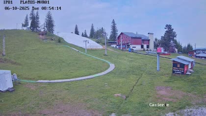 2025-06-10