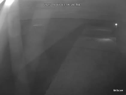 2025-10-07