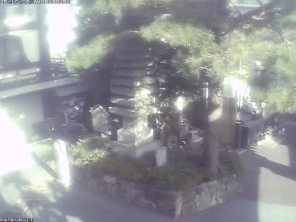 2025-10-08
