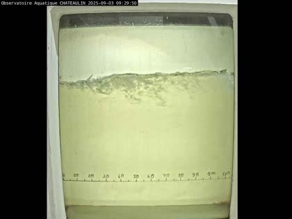 2025-09-03