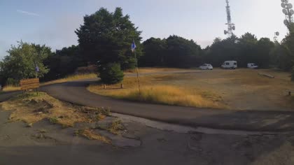 2026-07-19