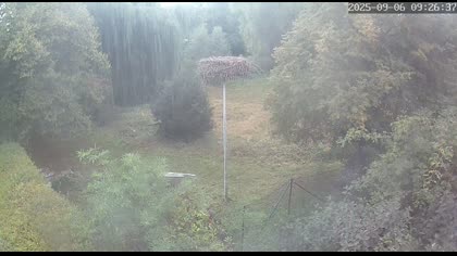 2025-09-06