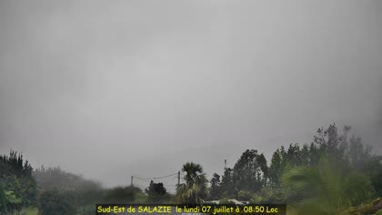 2025-07-07