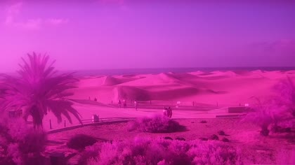2026-07-02