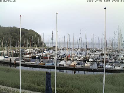 2025-07-31