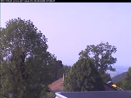 2025-06-09