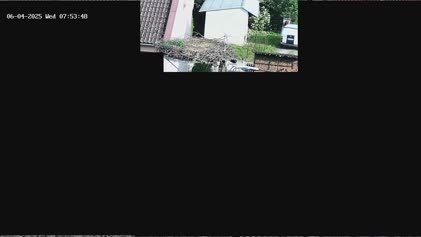 2025-06-04