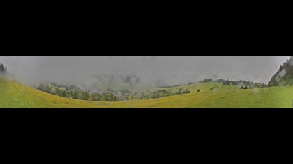 2026-06-12