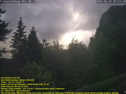 2026-06-03