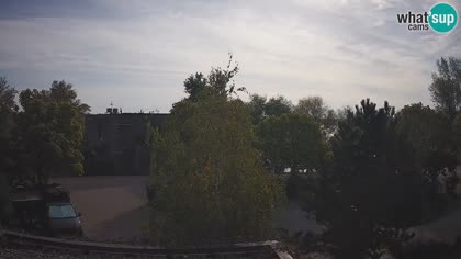 2026-10-05