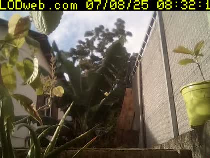 2025-07-08