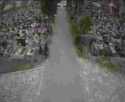 2025-05-07
