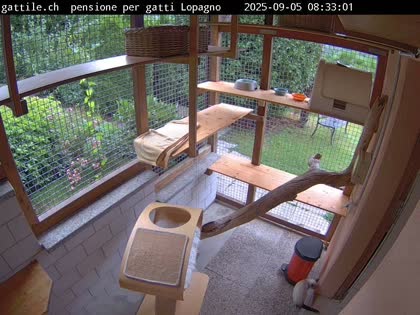2025-09-05