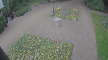2026-06-10