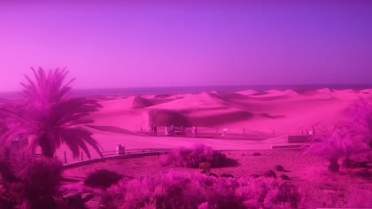 2026-07-26