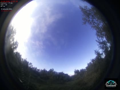 2026-08-15