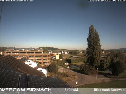2025-08-08