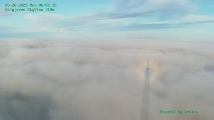2025-05-26