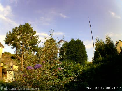 2026-07-17