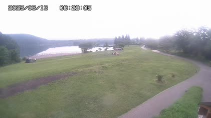 2025-06-12