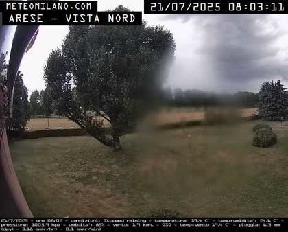 2025-07-21