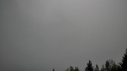 2025-10-06