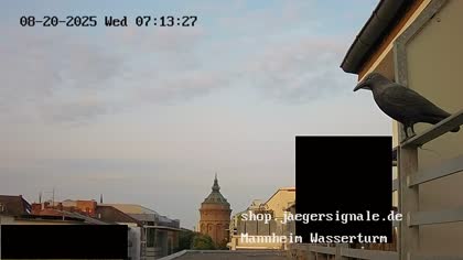 2025-08-20