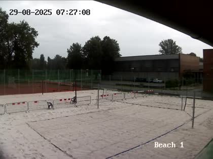 2025-08-29