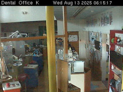 2025-08-12