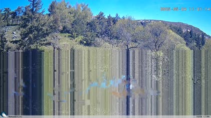2025-05-25