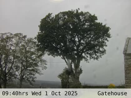 2025-10-01