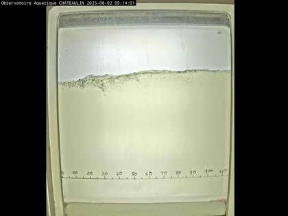 2025-08-02