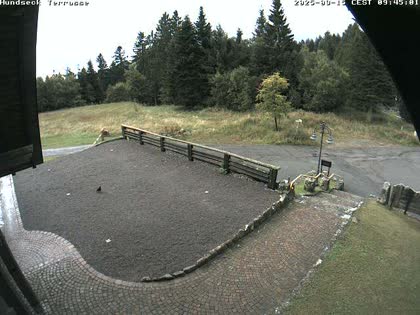 2025-09-15