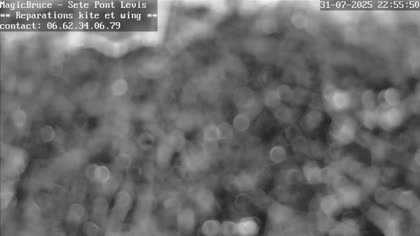 2025-08-01