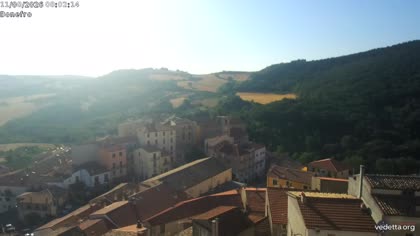 2026-08-11