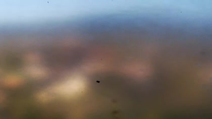 2026-10-16
