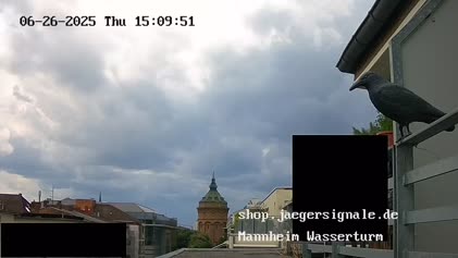 2025-06-27