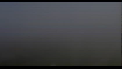 2025-08-10
