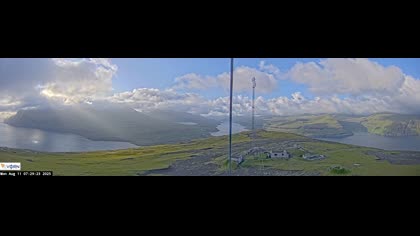 2025-08-11