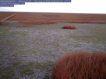 2026-08-13